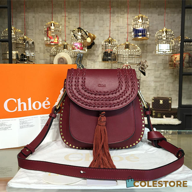 chloe cortex hudson CohotBag  - 1