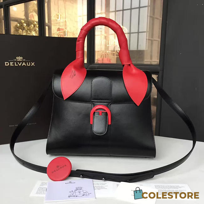 CohotBag delvaux sellier brillant 1496 - 1