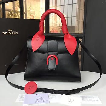 CohotBag delvaux sellier brillant 1496