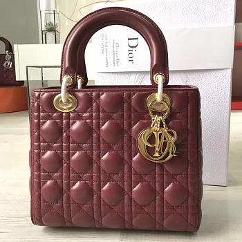 CohotBag lady dior 1608