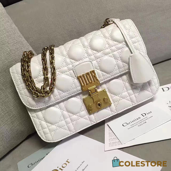 CohotBag dioraddict 1676 - 1