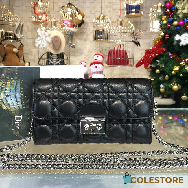 CohotBag dior woc 1683 - 1