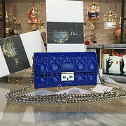 CohotBag dior woc 1687 - 1