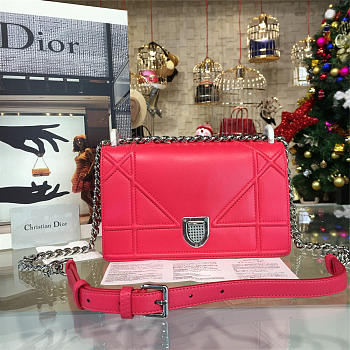 CohotBag dior ama 1751