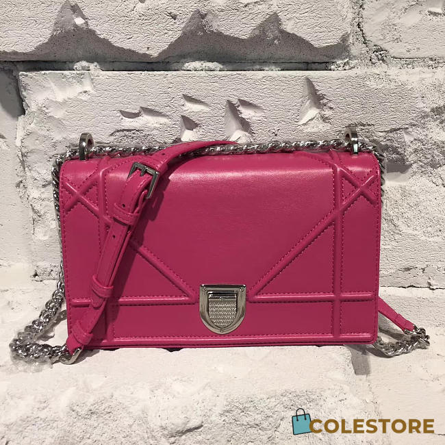 CohotBag dior ama 1759 - 1