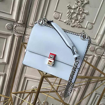 CohotBag fendi kani 1917