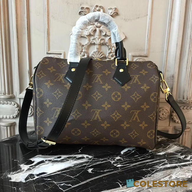 Louis Vuitton Speedy 25 Monogram - 1