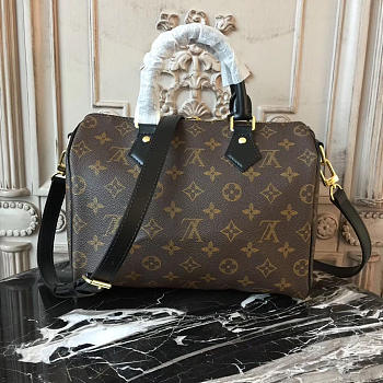 Louis Vuitton Speedy 25 Monogram