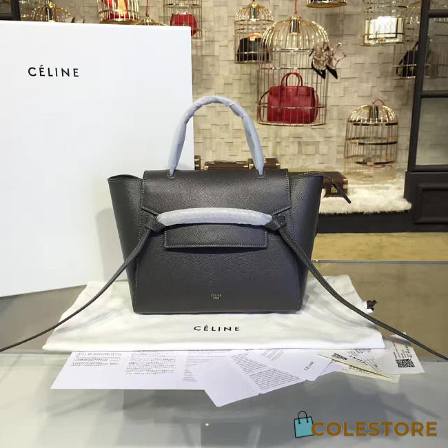 Celine Leather Belt Bag Z1202 - 1