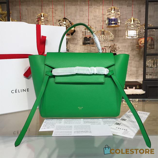 Celine Leather Belt Bag Z1208 - 1
