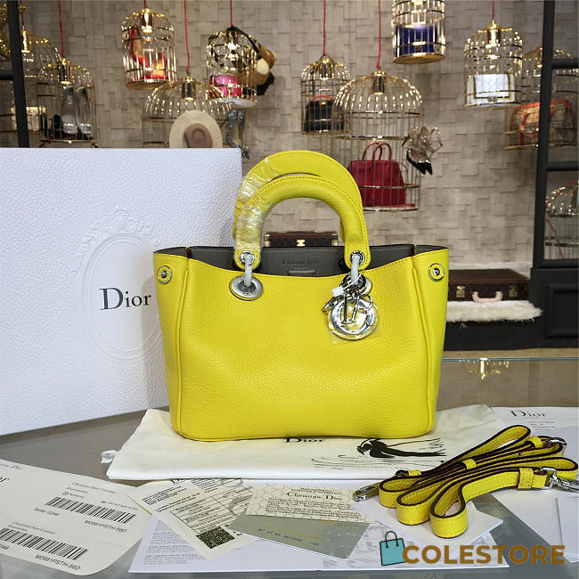 CohotBag diorissimo 1669 - 1