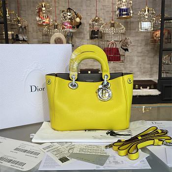 CohotBag diorissimo 1669
