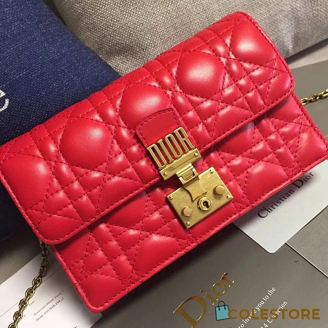 CohotBag dior woc 1682 - 1