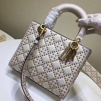 CohotBag lady dior 1811