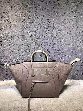 Celine Leather Luggage Phantom Z1103