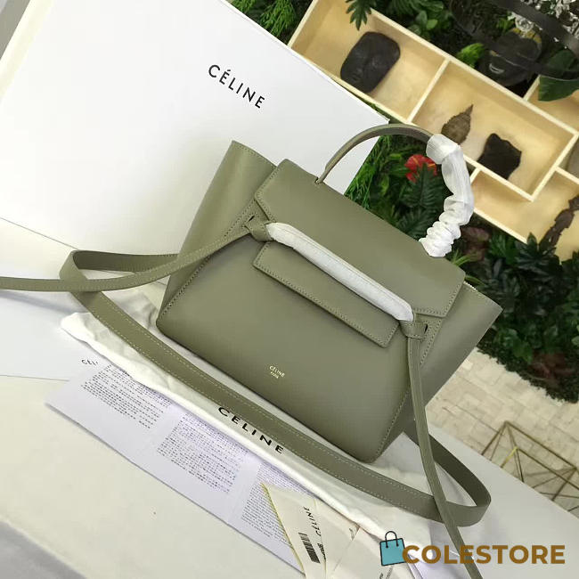 Celine Leather Belt Bag Z1190 - 1