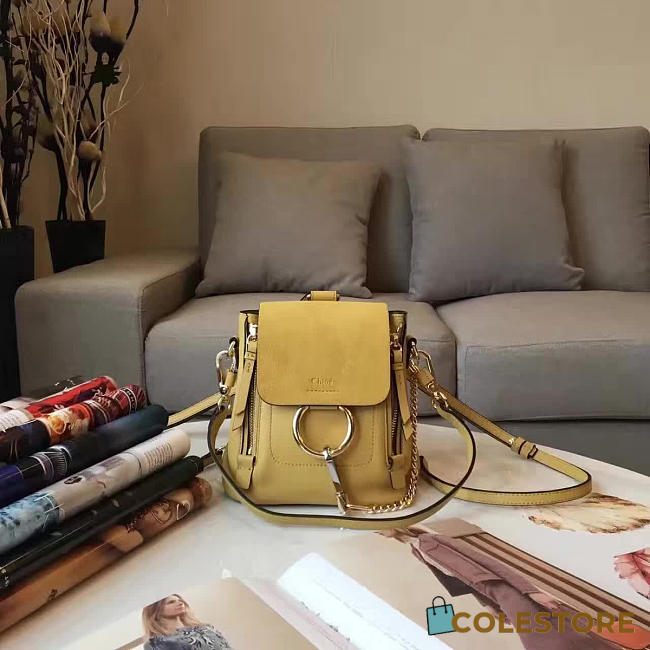 Chloé Cortex Faye Backpack Z1402  - 1