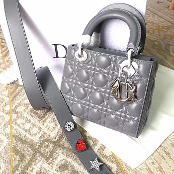 CohotBag lady dior 1585