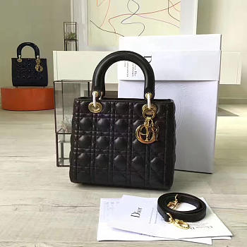 CohotBag lady dior 1605