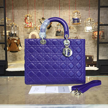 CohotBag lady dior 1639