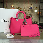 CohotBag diorissimo 1666 - 1