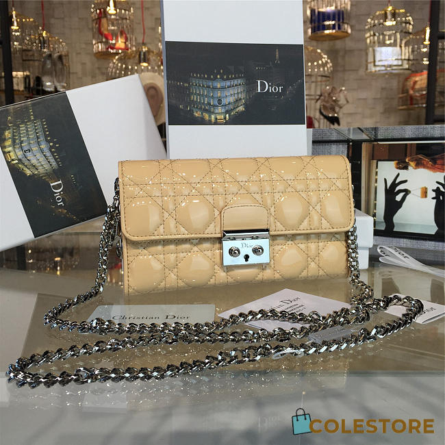 CohotBag dior woc 1688 - 1