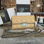 CohotBag dior woc 1688 - 1
