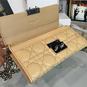 CohotBag dior woc 1688 - 5