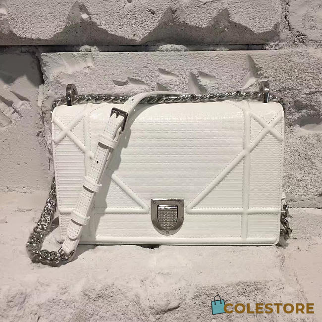 CohotBag dior ama 1733 - 1