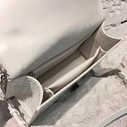 CohotBag dior ama 1733 - 5