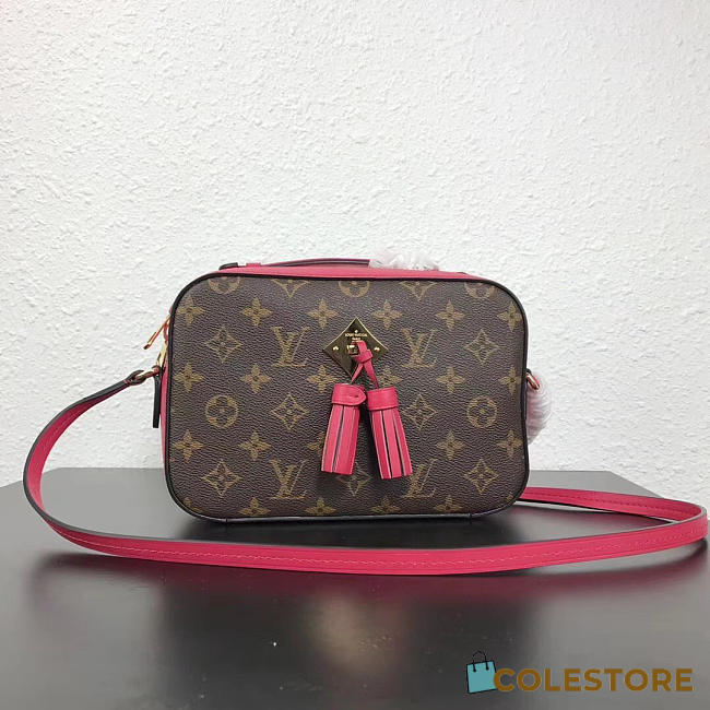 Louis Vuitton Monogram Saintonge Freesia M43557 - 1