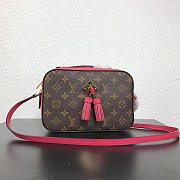 Louis Vuitton Monogram Saintonge Freesia M43557 - 1