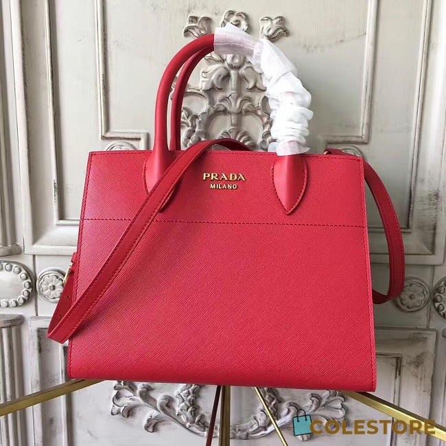 Prada Cortex Bibliothèque Z4287 - 1
