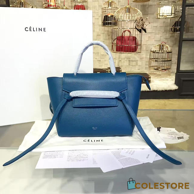 Celine Leather Belt Bag Z1203 - 1