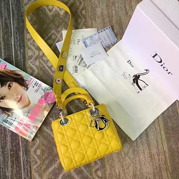 CohotBag lady dior 1615