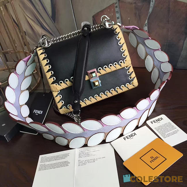 CohotBag fendi kani 1909 - 1