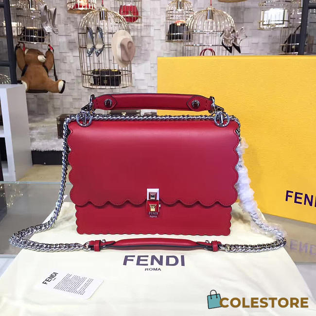 CohotBag fendi kani 1911 - 1