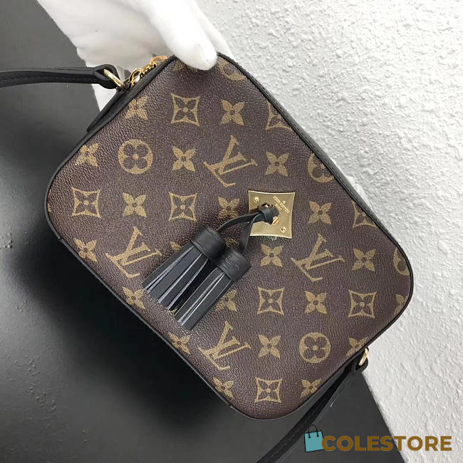 Louis Vuitton Monogram Saintonge Black M43555 - 1