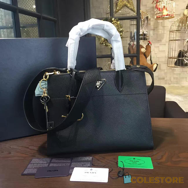Prada Paradigme 3852 - 1