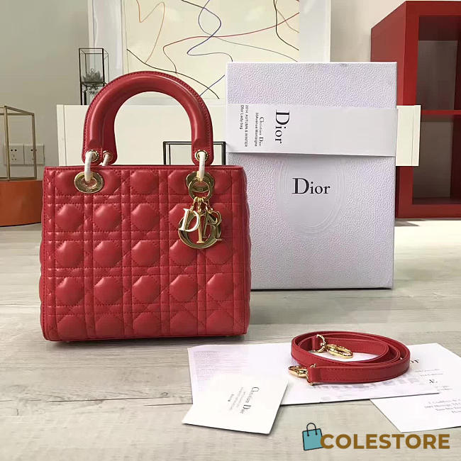 CohotBag lady dior 1584 - 1