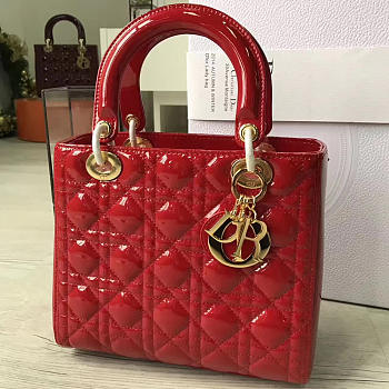 CohotBag lady dior 1610
