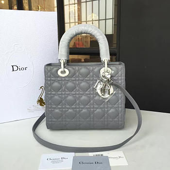 CohotBag lady dior 1632