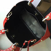 CohotBag diorissimo 1668 - 6