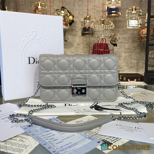 CohotBag dior woc 1681 - 1