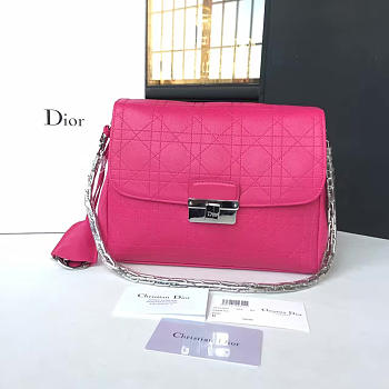 CohotBag dior miss