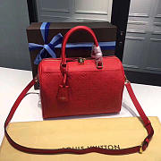Louis Vuitton Speedy 25 Cherry3814 - 1
