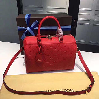 Louis Vuitton Speedy 25 Cherry3814