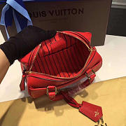 Louis Vuitton Speedy 25 Cherry3814 - 2