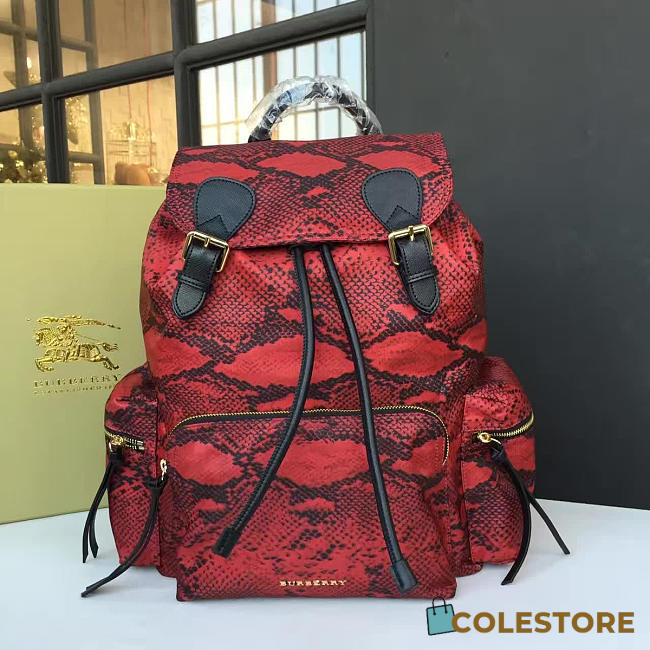 Burberry Backpack 5801 - 1