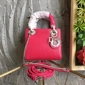 CohotBag mini lady dior 1773